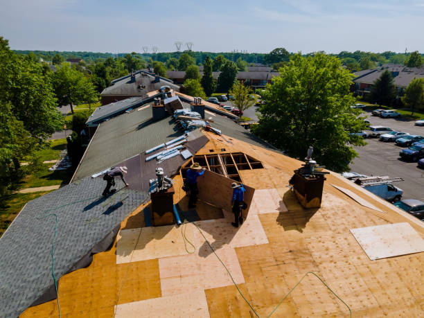 Trusted Roof Replacement service in New Bern, NC - Brentwood Metal Roofing